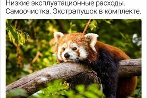 Сотрудники зоопарков описывают своих животных