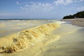 Почему Желтое море так называется?