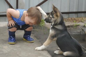 Картинки для Вас, чтобы радовали глаз