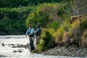 Медведь подкрался незаметно