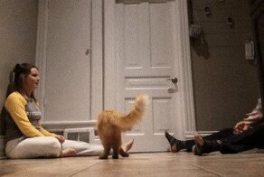 Подборка гифок