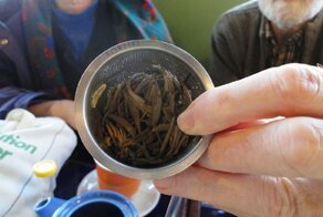 20 способов спасти планету