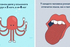 25 реальных фактов о нашем мире, которые вскружат голову любому всезнайке