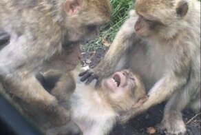 Нетрадиционные методы традиционной медицины