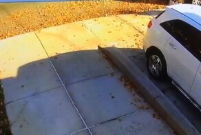 Источник дурно пахнущих сюрпризов был пойман на камеру