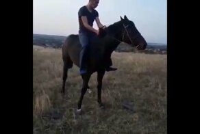 Не умеешь - не берись! Попытка оседлать лошадь с треском провалилась