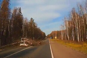 Авария дня. В Удмуртии на трассу упало дерево