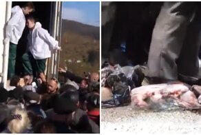 "Голодные игры": на Камчатке устроили давку из-за бесплатной рыбы
