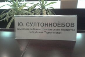 16 смешных фамилий, владельцам которых живется вовсе не сладко