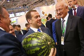 Медведев призвал обеспечить в сёлах комфортную жизнь, как в городах