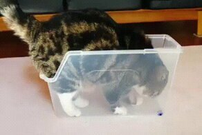 Гифки разные