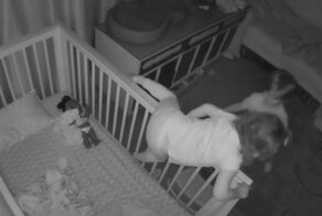 Видео с побегом из колыбели двух малолетних беглецов, растрогало интернет