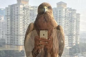Трудно поверить, но это не фотошоп