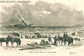 Лошади блуждающего острова