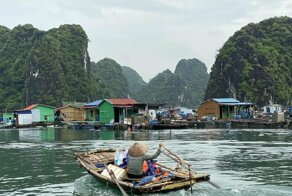 Пятничная подборка снимков со всего мира за 11.10.2019