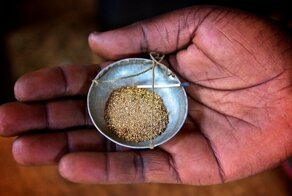 В каких реках России можно намыть золота