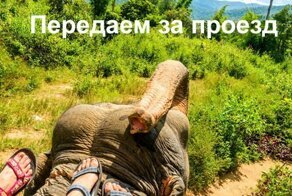 Картинки с надписями