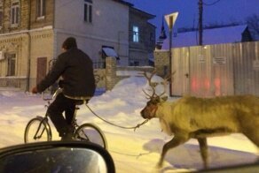 15 непонятных снимков, которые интригуют не по-детски