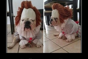 Демотиваторы - это весело!