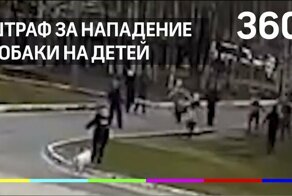 За нападение бультерьера на школьниц - штраф