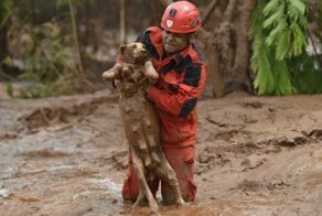 Доброта и душевность