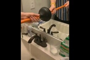 Торжество глупости