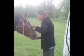 Синий всадник решил покататься на лошадке