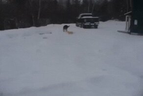 Гифки разные