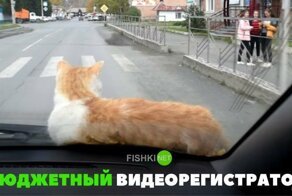 Подборка автомобильных приколов