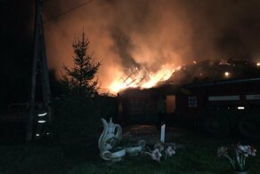 5 современных героев-школьников