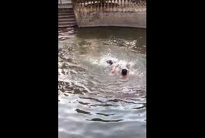 Мужчина притворился тонущим, чтобы узнать, спасет ли его собака
