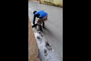 Несколько часов работы кобелю под хвост!