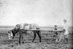 На хуторе в Ростовской области уже пять погибших