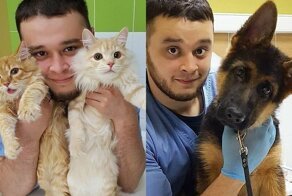 Российскому ветеринару грозит тюрьма за то, что он спасал животных от смерти