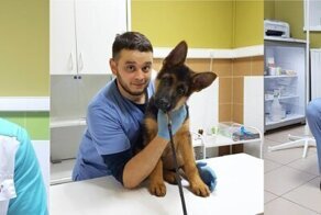 Оставить в живых или