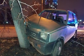 «Окушка» после столкновения с «КИА СИД» врезалась в дерево
