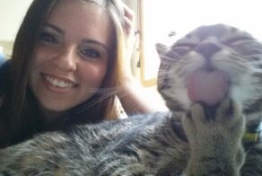 18 смешных котиков, которые всей душой ненавидят делать селфи с хозяевами