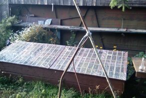 "Чужой" своими руками из подручных материалов