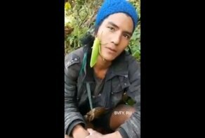 В погоне за лайками