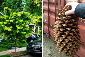 23 фотографии, которые доказывают, что природа подготовила для нас много удивительного