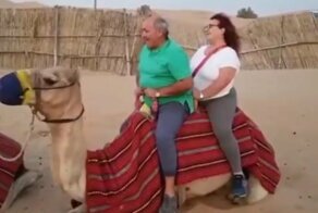 Неудачная попытка туристов прокатиться на верблюде