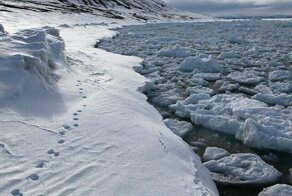 В Арктике открыли новый остров, возникший из-за глобального потепления