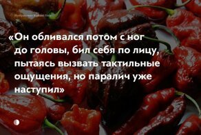 Как готовят самый острый соус в мире, от которого можно потерять сознание