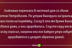 Забавные истории, которые случились в реальной жизни