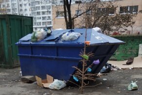 "Последний сдался": в Питере слабак выкинул на помойку остатки ёлки