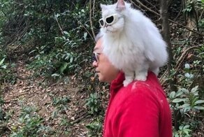15 талантливых животных, которые заткнут за пояс любую модель