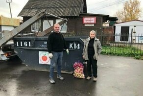 Вместо мусора: дачники из Подмосковья отдали яблоки на корм скоту и переработку