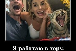 Подборка демотиваторов, которых вам так сейчас не хватает