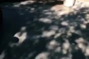 Минутка хаоса