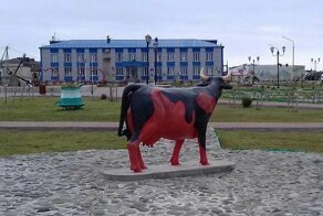 Трагическая история любви красной коровы из Южно-Курильска растрогала россиян